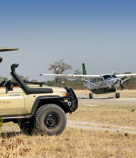 safari direkt in kenia buchen